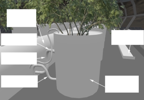 plant